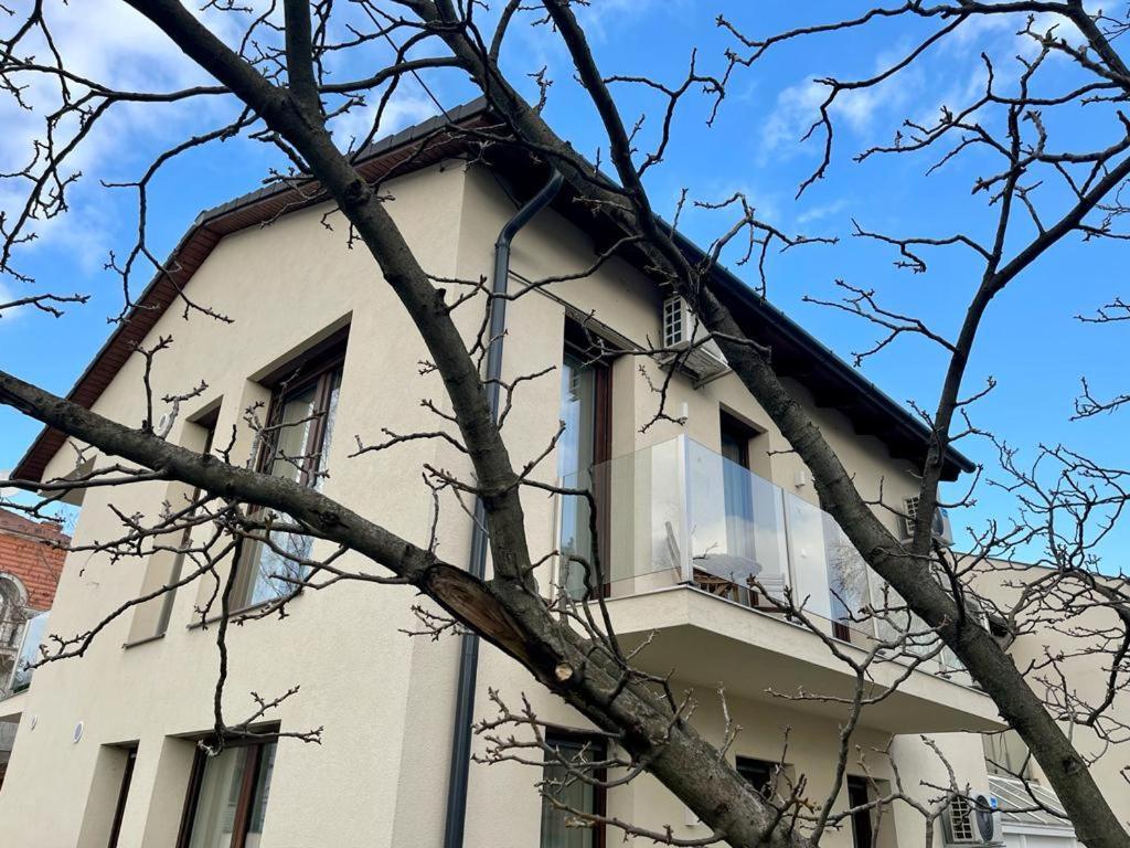 Nature In The City Lower Storey Bestern Segedin Dış mekan fotoğraf